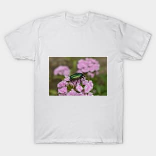 An insect on a beautiful pink flower T-Shirt